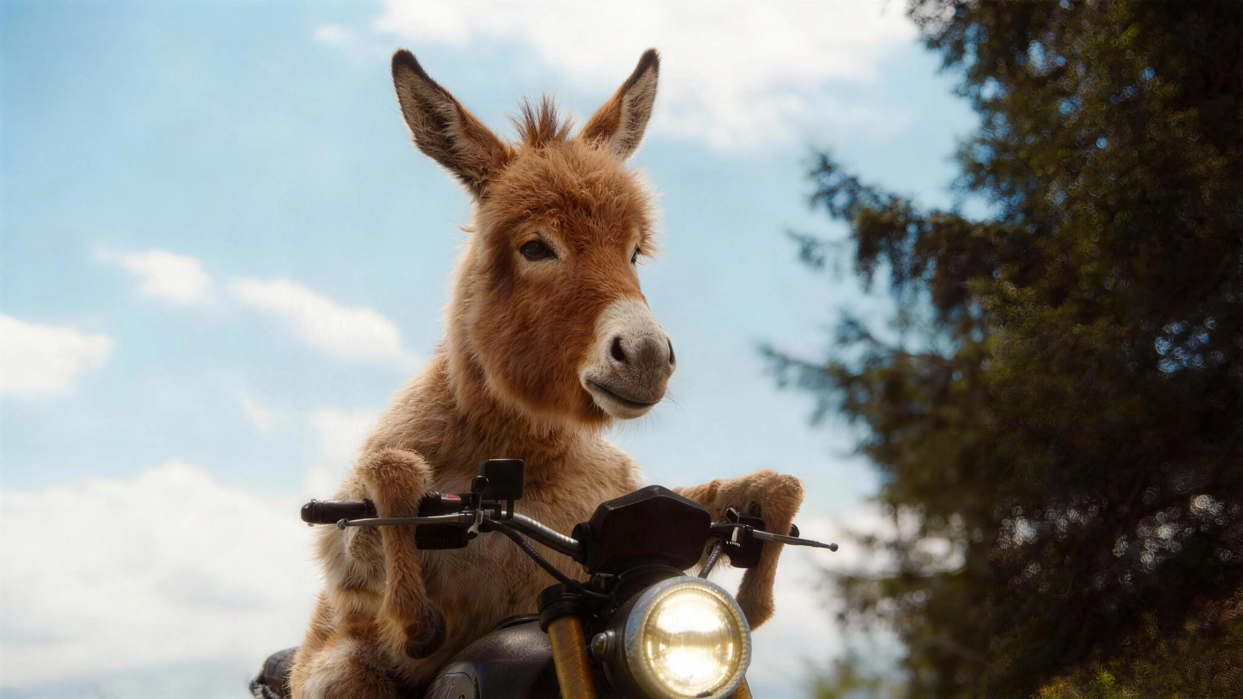 Donkey riding a motorcycle created with Seedance AI